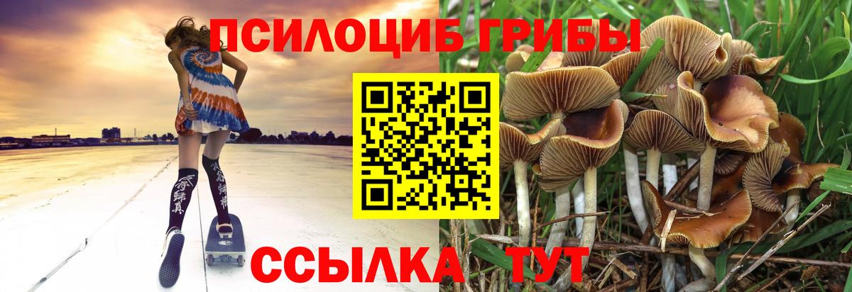 Соликамск  Псилоцибиновые грибы Magic Shrooms  Вход с VPN 